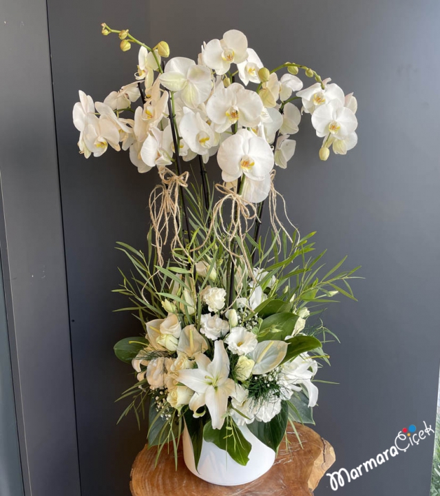 White Orchid Wedding Flower