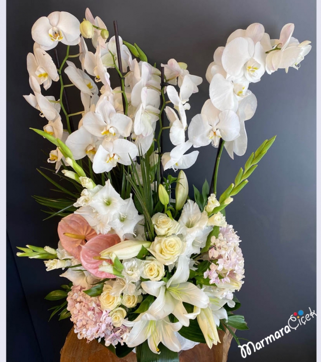 Orchid Design Flowers